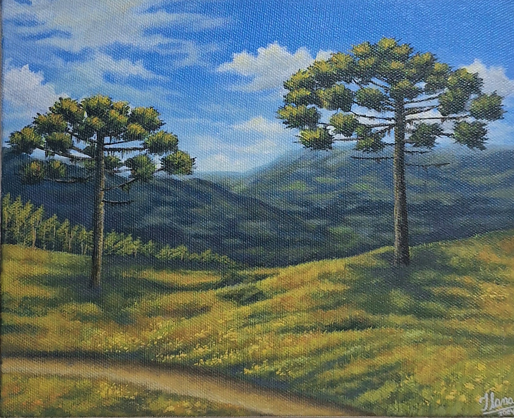 Obra Campo de Arauc&aacute;rias
