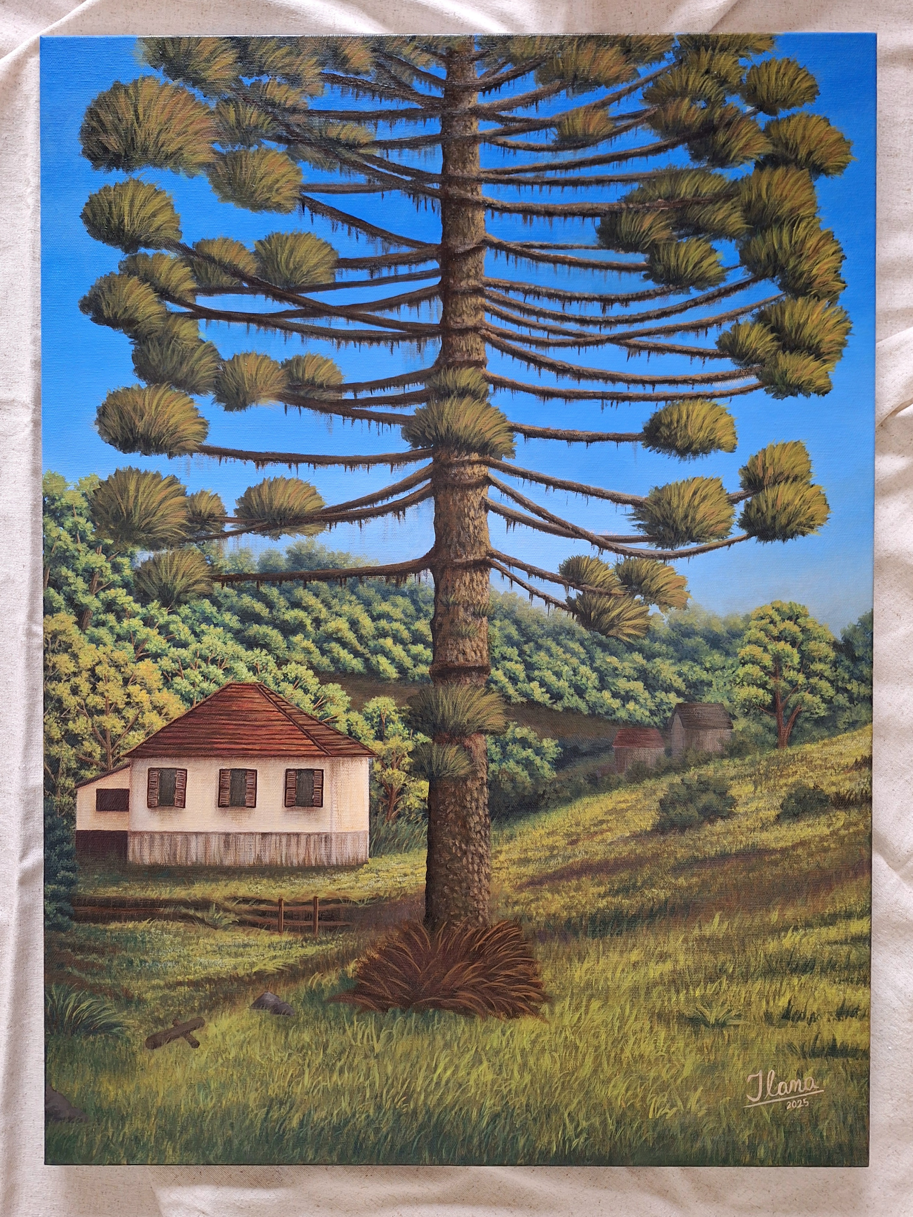 Obra Resgatando Memorias