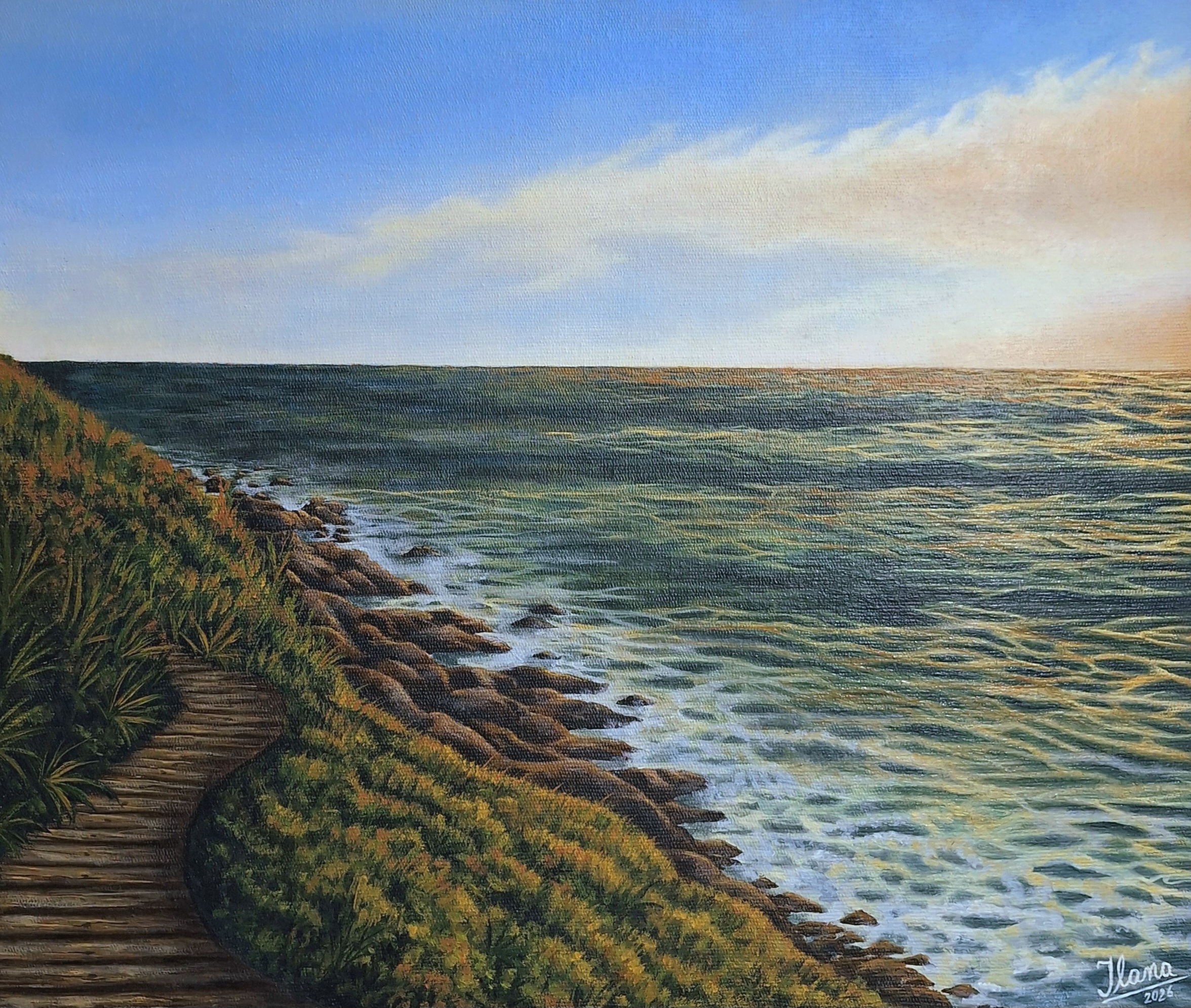 Obra Rosa Norte